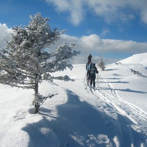 winter-imagelb2.jpg