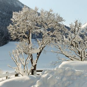 winter-imagelb4.jpg