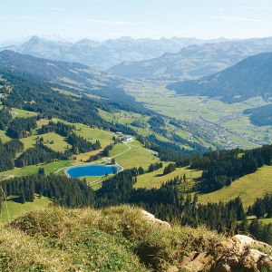 summer-imagelb5.jpg