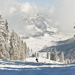 winter-imagelb3.jpg